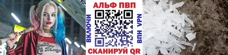 Альфа ПВП СК  Суворов 