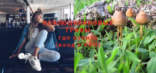 не бодяженный Аркадак