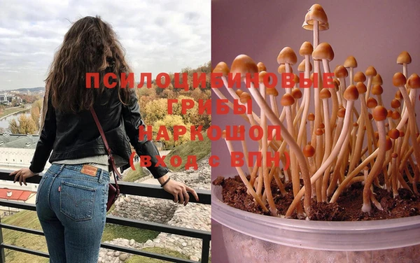 кристаллы Арсеньев