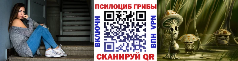 Псилоцибиновые грибы Magic Shrooms  как найти закладки  Суворов 